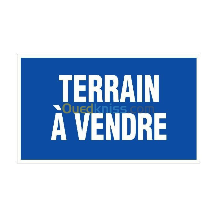 Vente Terrain Oran Bir el djir