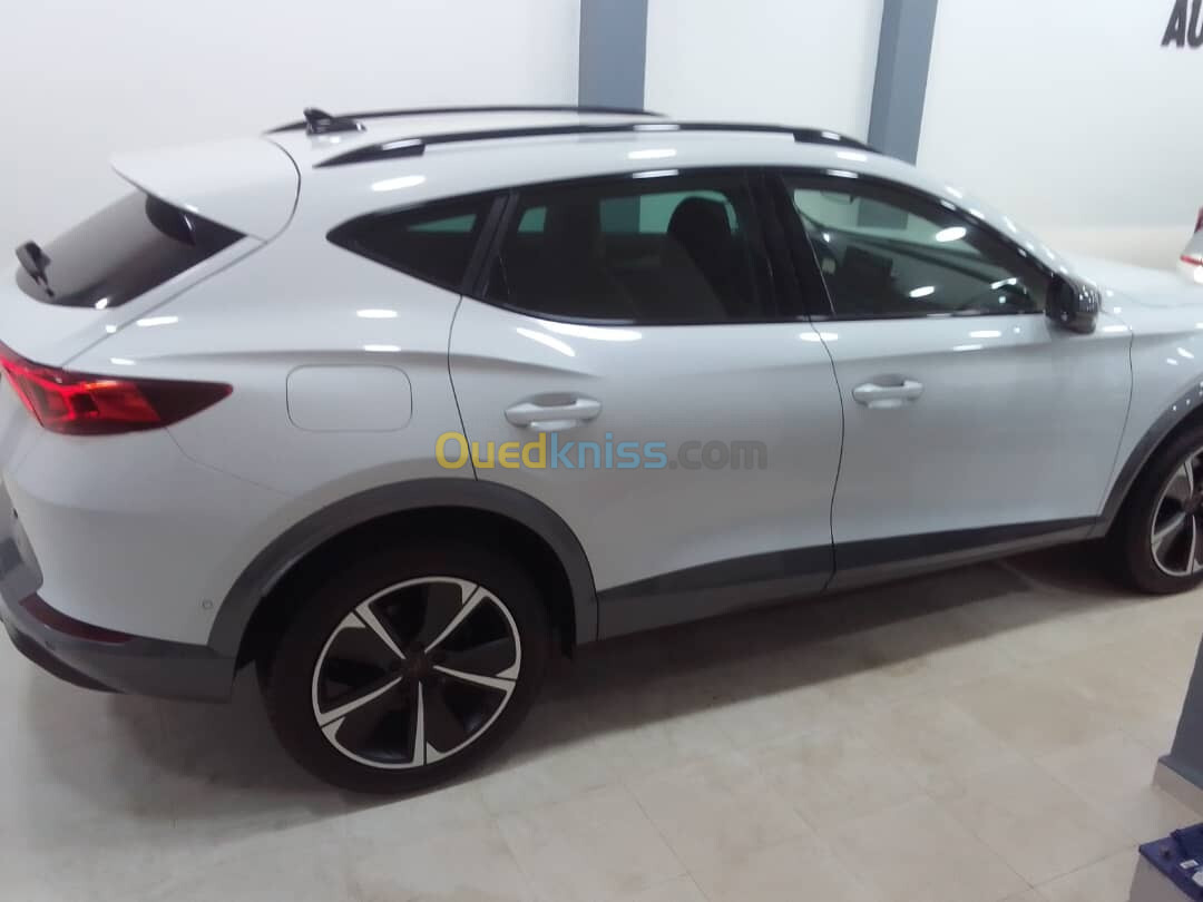 Seat Cubra 2023 formentor