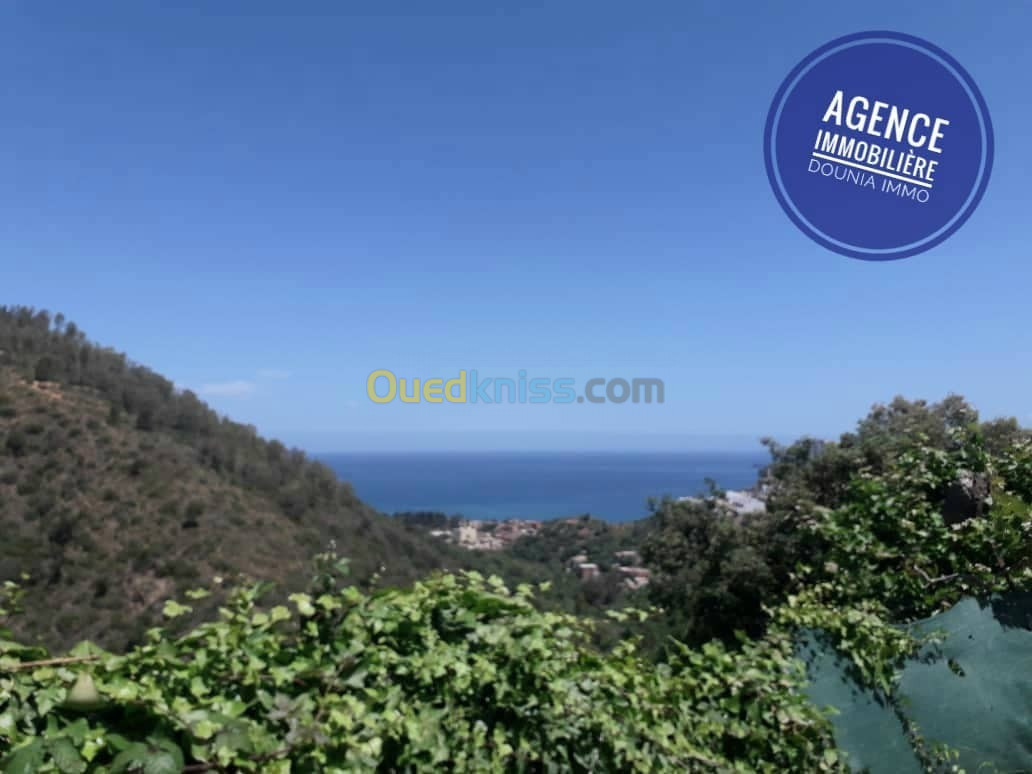 Vente Terrain Skikda Skikda