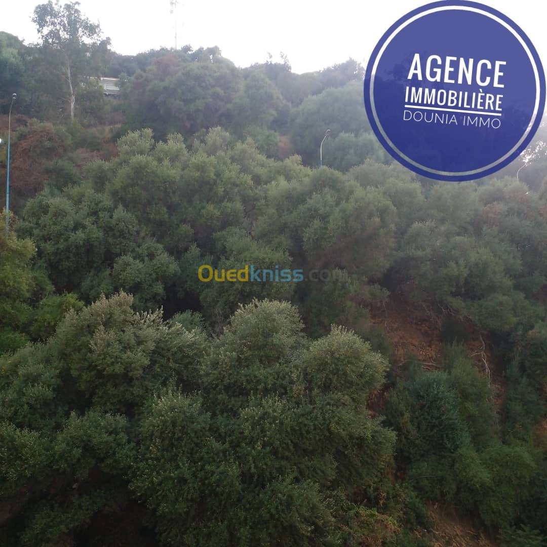 Vente Appartement F3 Skikda Skikda