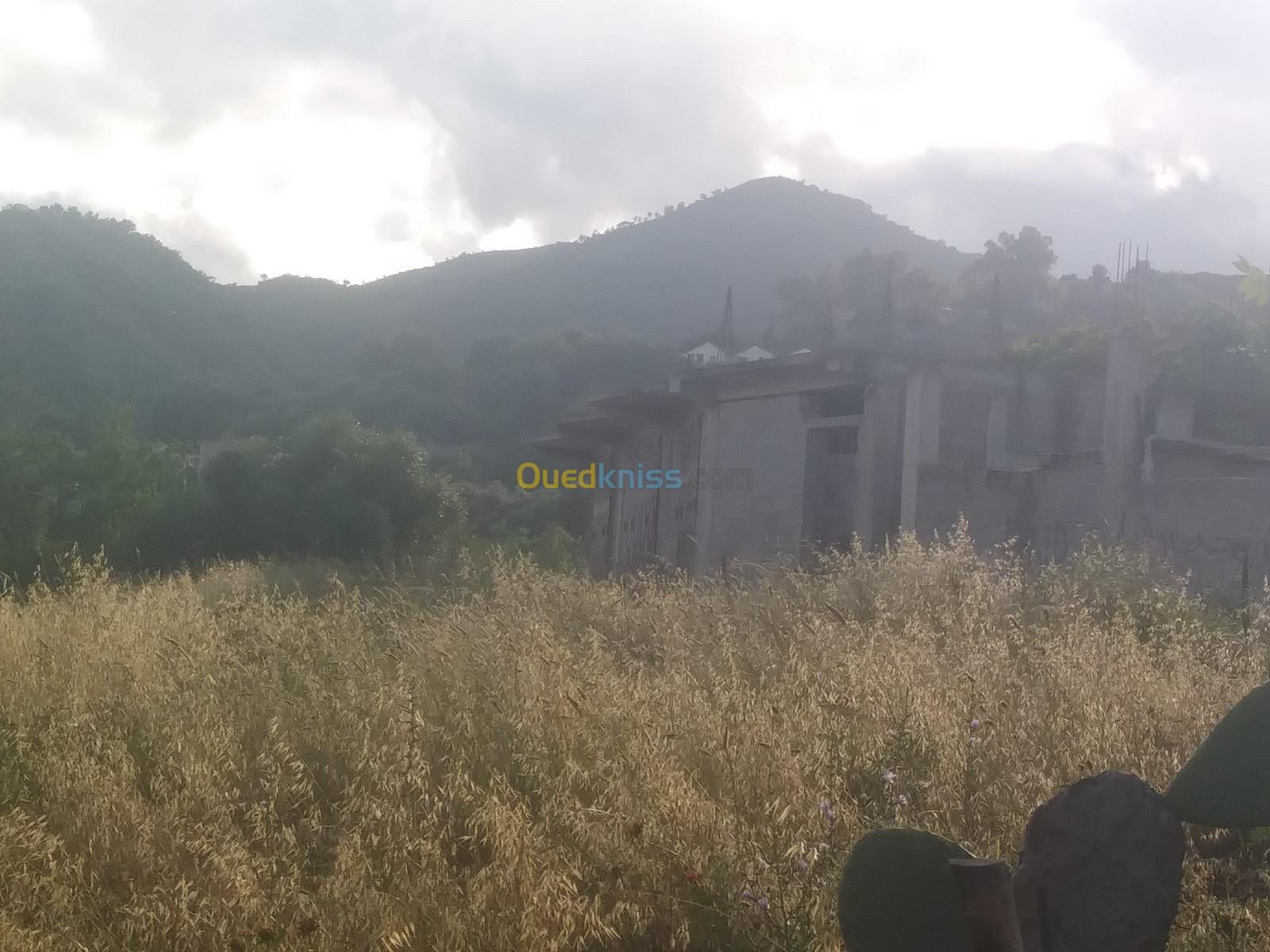 Vente Niveau De Villa Skikda Cheraia