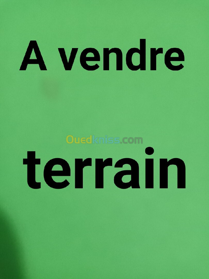 Vente Terrain Alger Draria