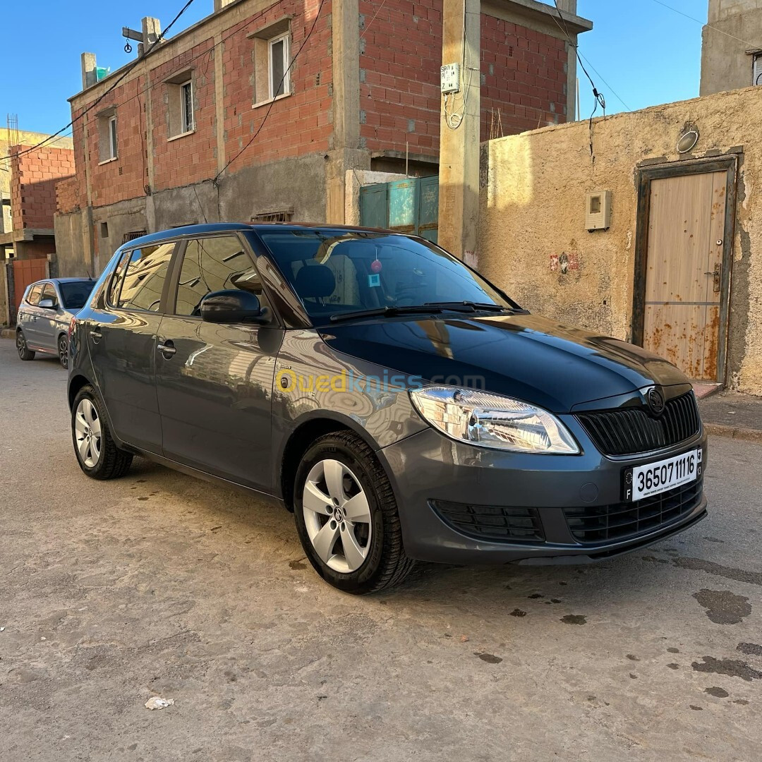 Skoda Fabia 2011 