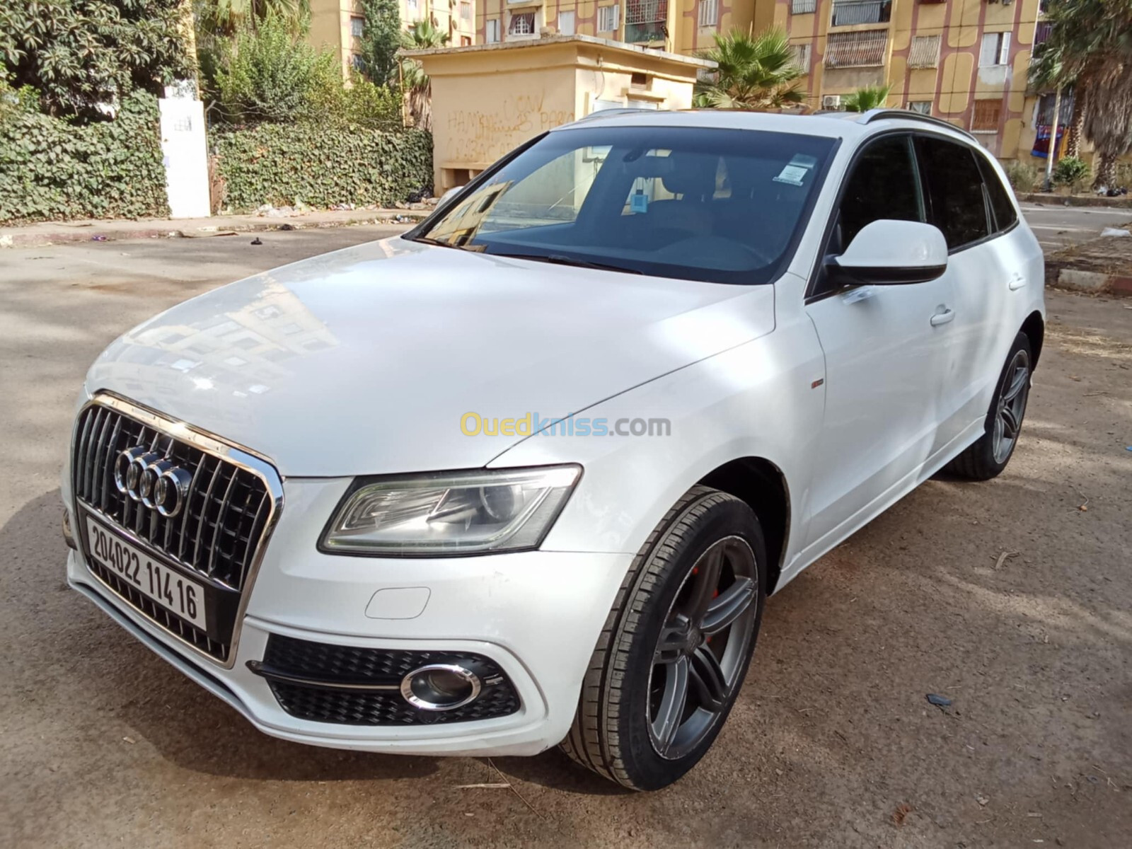 Audi Q5 2014 S Line