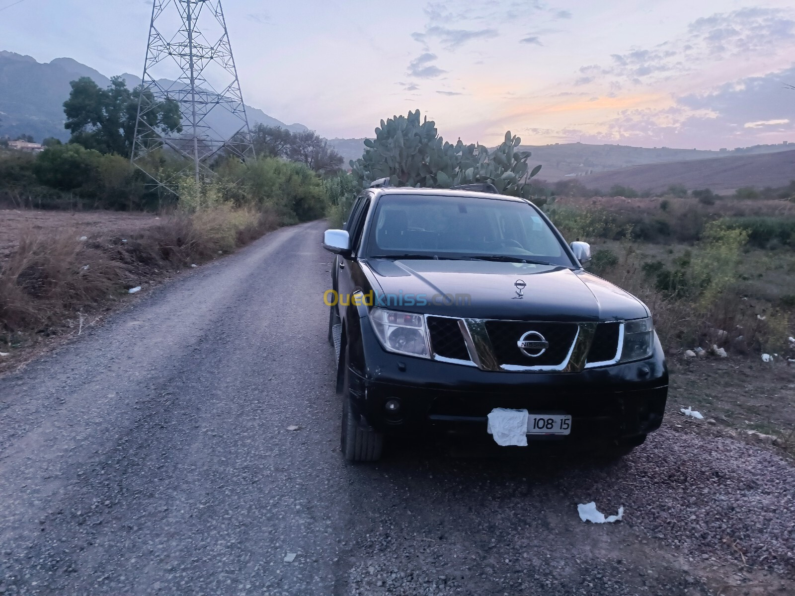 Nissan Pathfinder 2008 Elegance