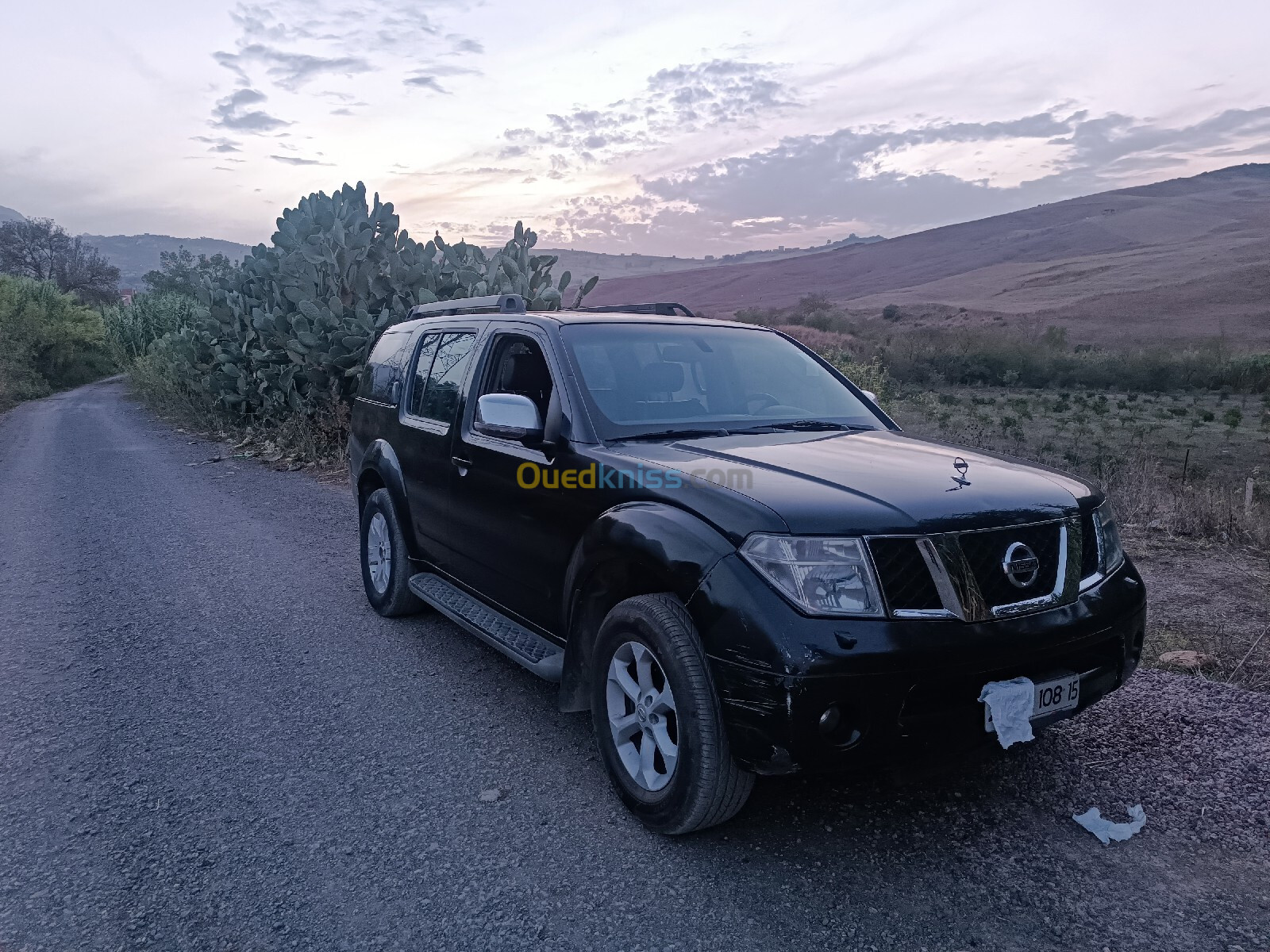 Nissan Pathfinder 2008 Elegance