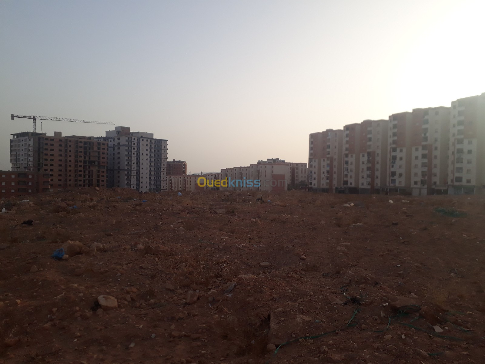 Vente Terrain Oran Bir el djir