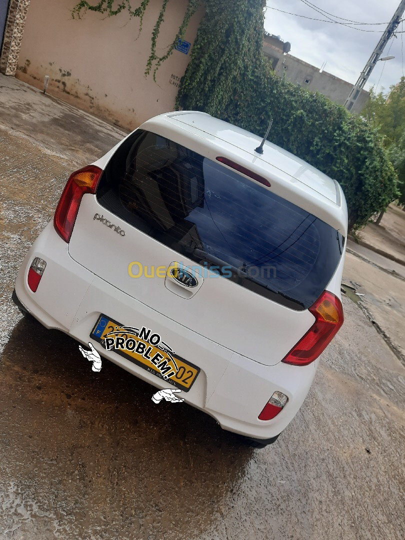 Kia Picanto 2013 بوب