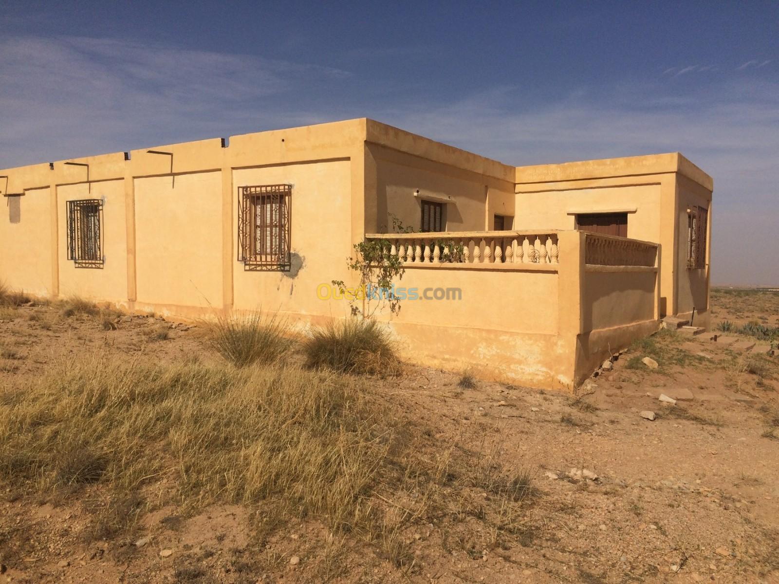 Vente Appartement Djelfa Bouira lahdab