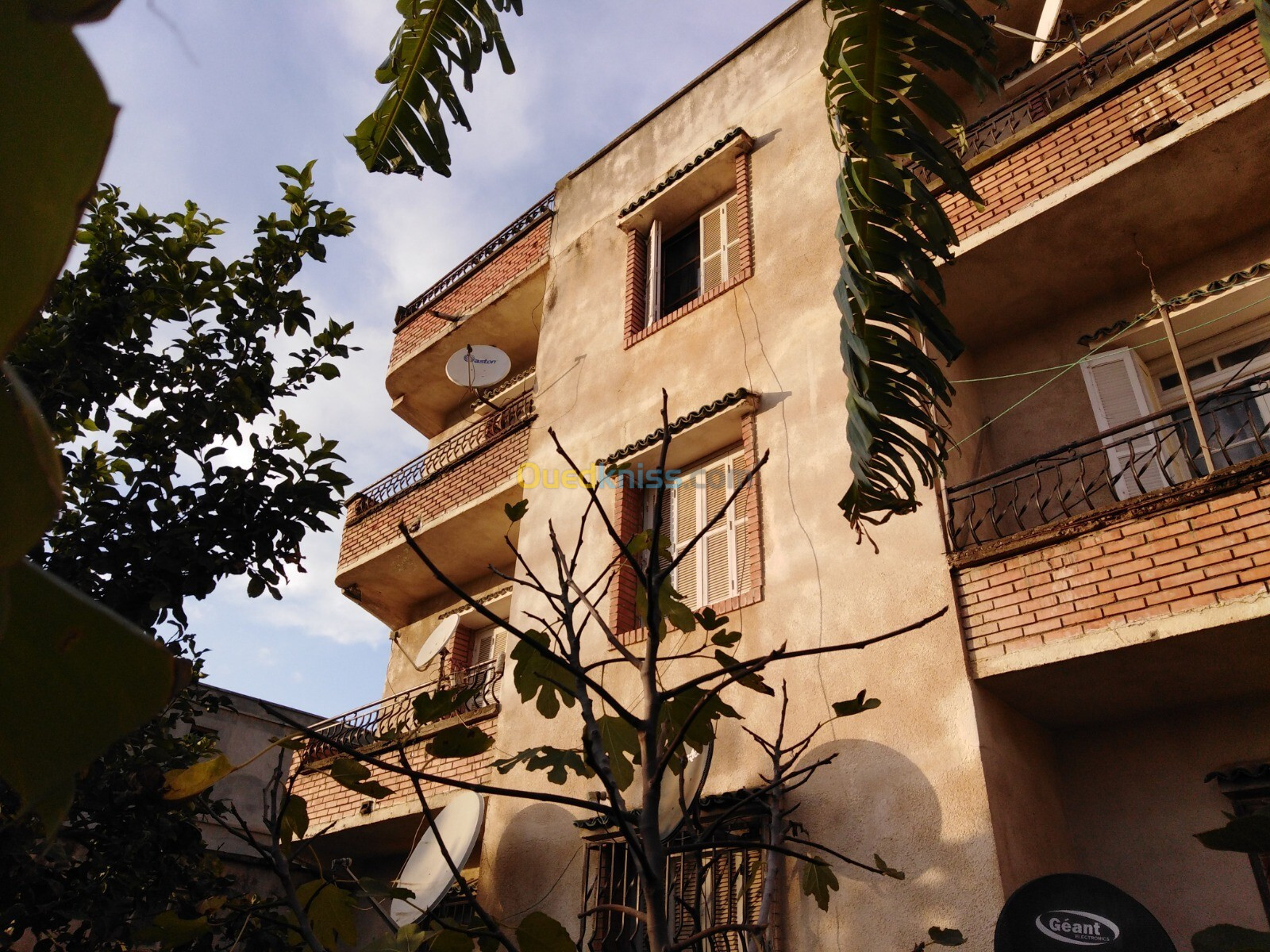 Vente Villa Alger Hraoua