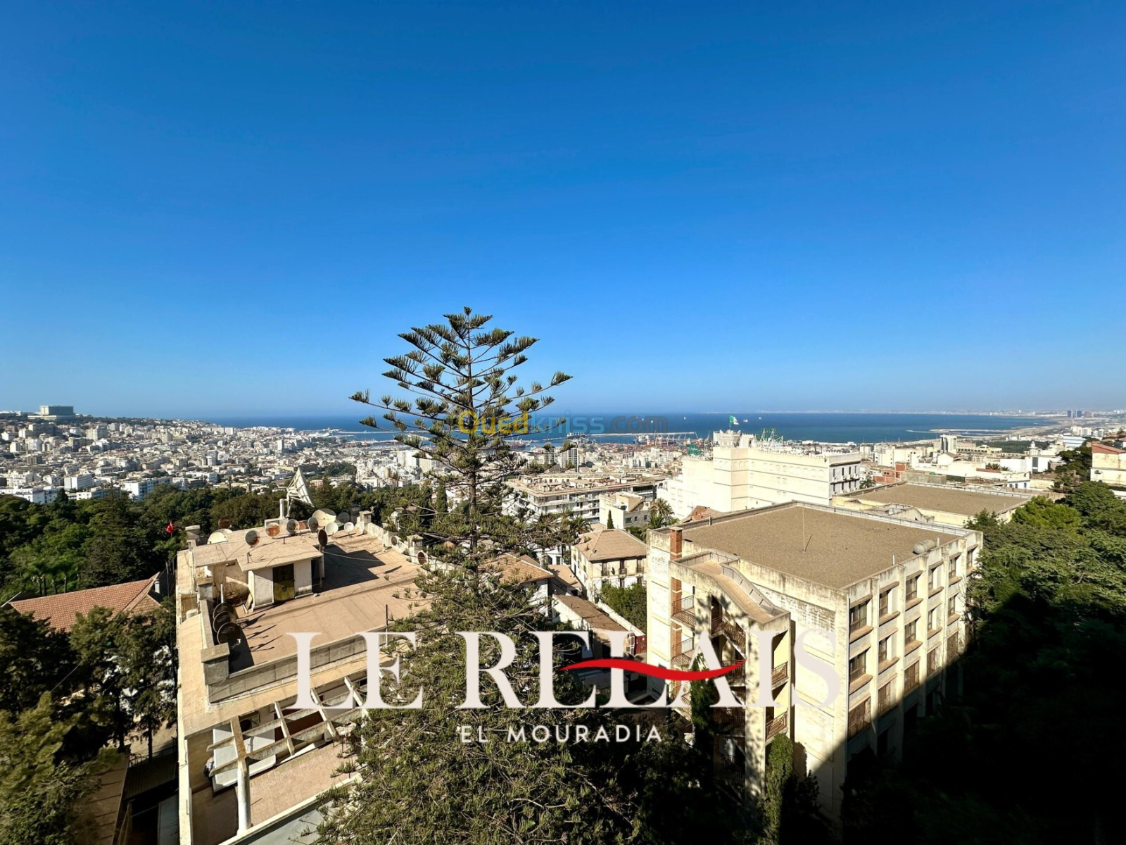 Location Appartement F3 Alger El mouradia