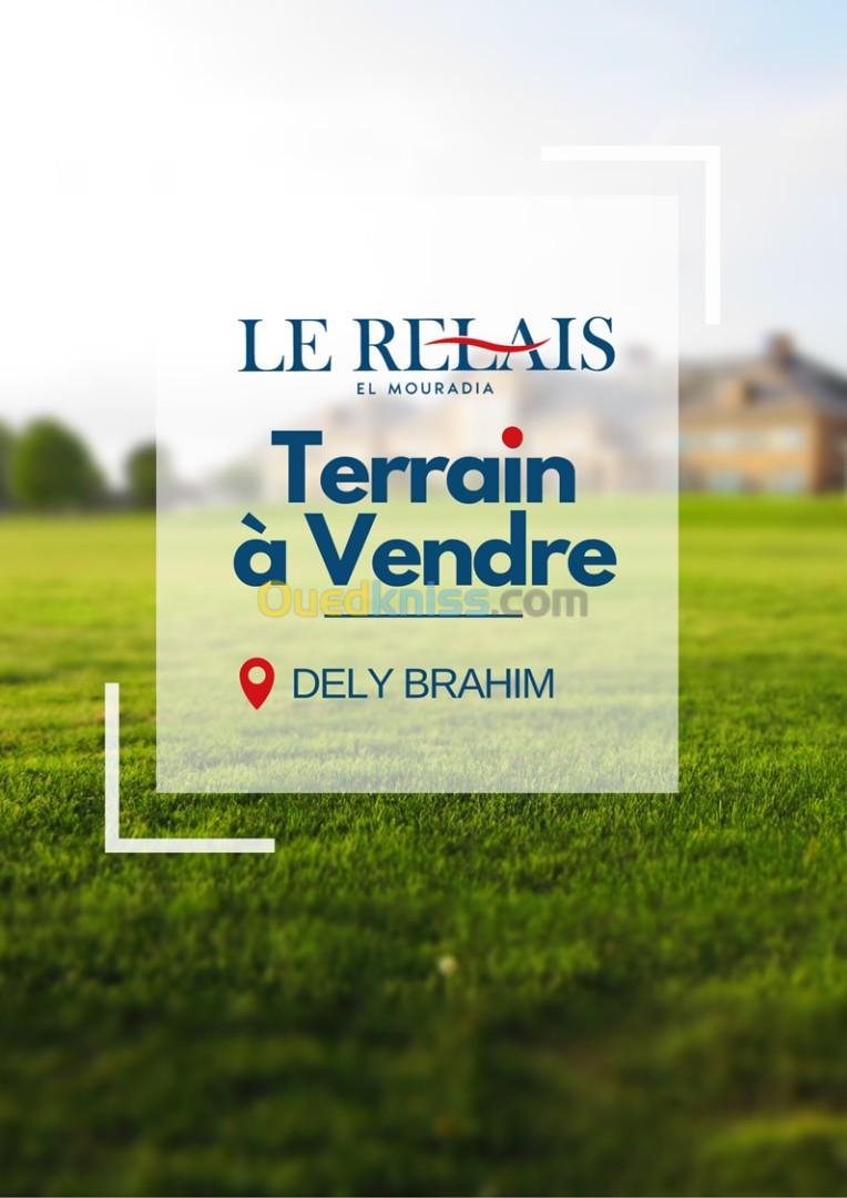 Vente Terrain Alger Dely brahim