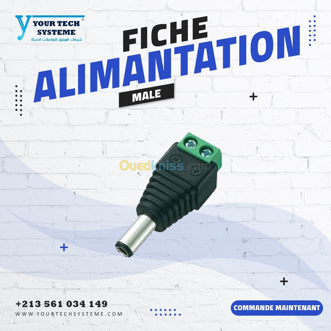 FICHE ALIMANTATION MALE