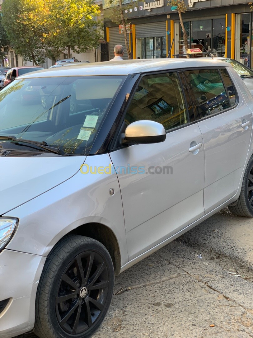 Skoda Fabia 2014 Visage