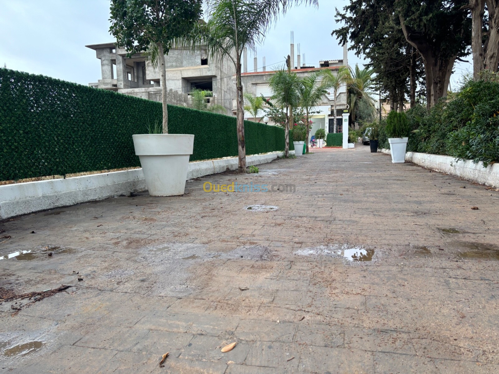 Location Villa Alger Staoueli