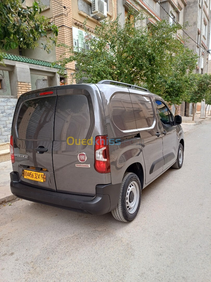 Fiat Doblo 2024 Professional