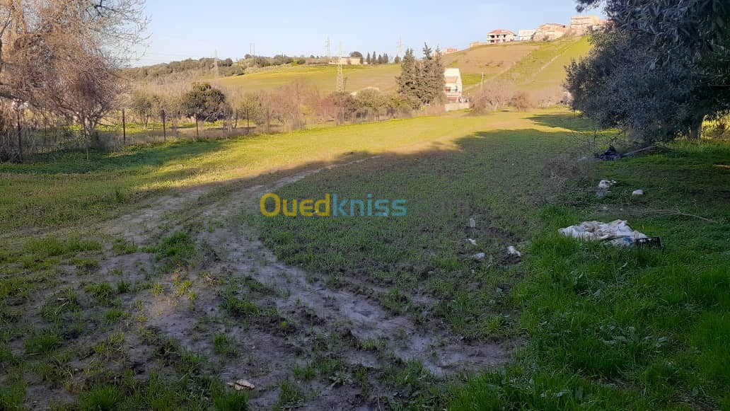 Vente Terrain Tizi ouzou Tizi rached