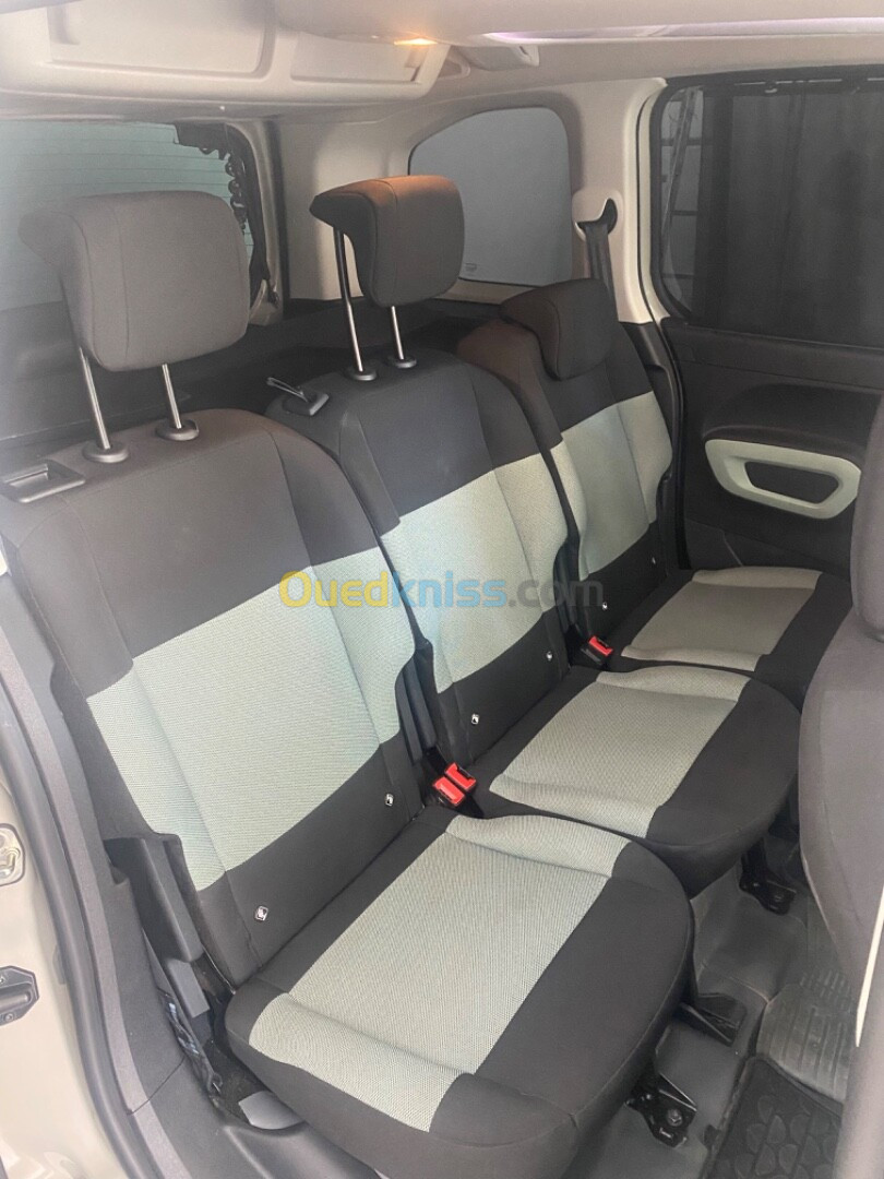 Citroen Berlingo 2019 Berlingo