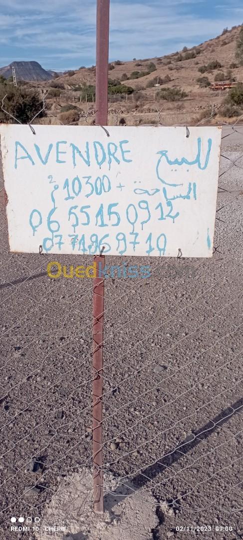 Vente Terrain Bordj bou arreridj Ouled sidi brahim