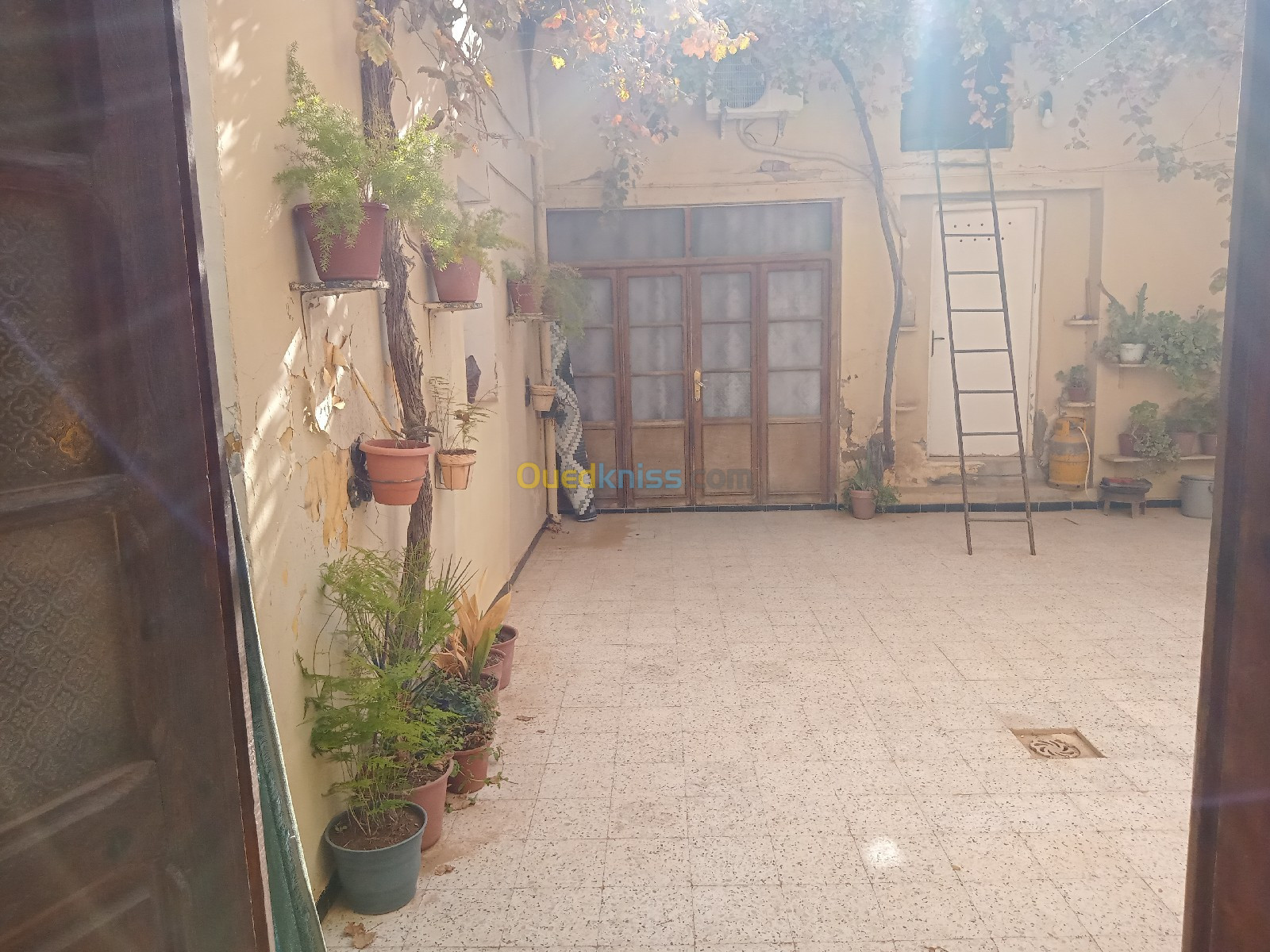 Vente Villa Sidi Bel Abbès Sidi bel abbes