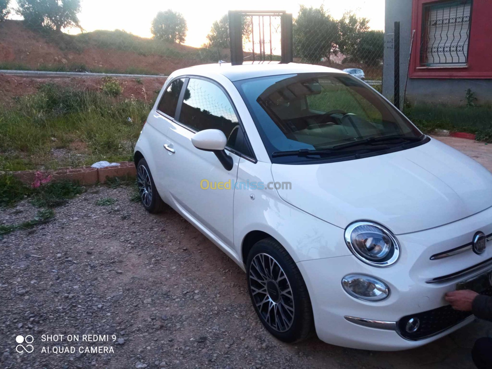 Fiat 500 2023 