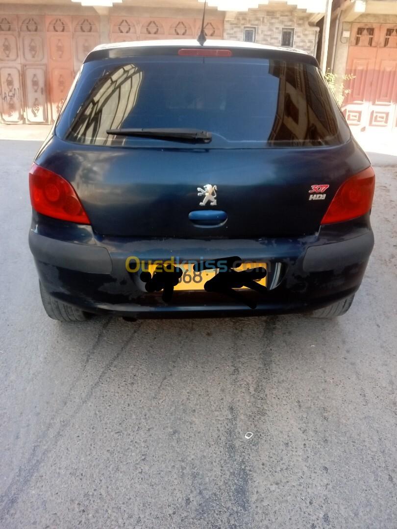 Peugeot 307 2006 Oxygo