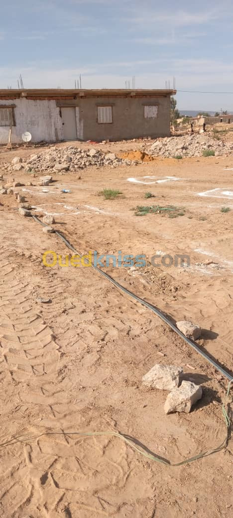 Vente Terrain Mostaganem El hassiane