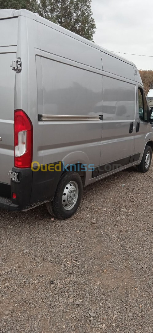 Fiat profissional Ducato 2023