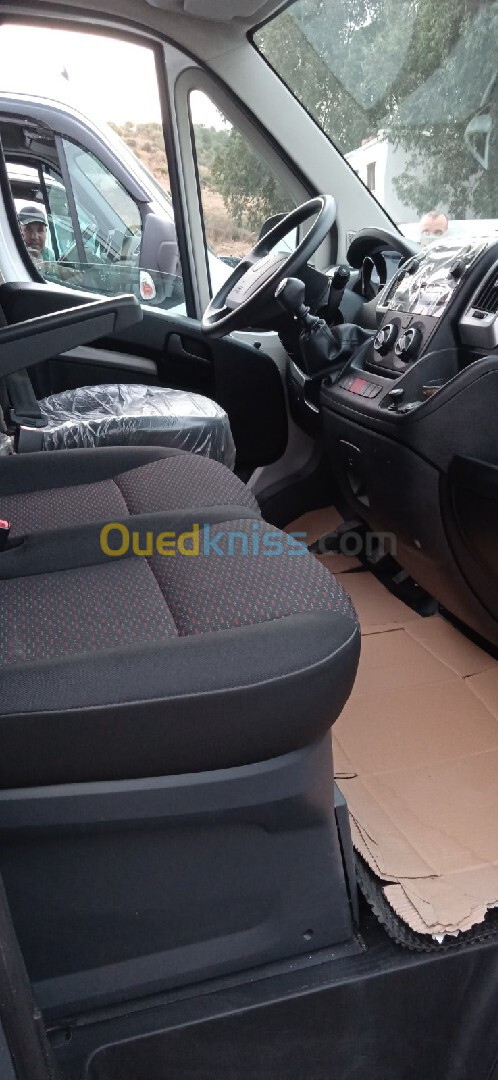 Fiat profissional Ducato 2023