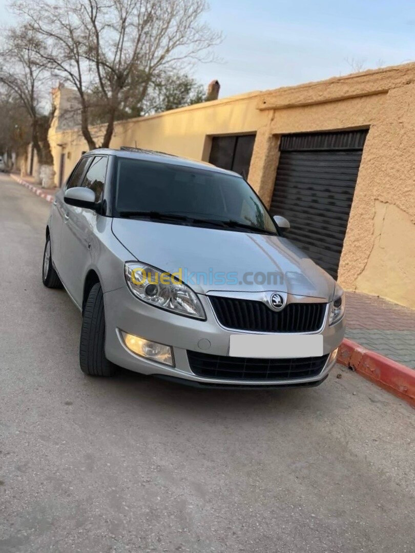 Skoda Fabia 2014 Fresh