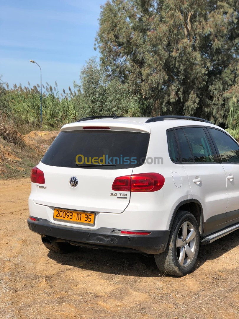 Volkswagen Tiguan 2011 Tiguan