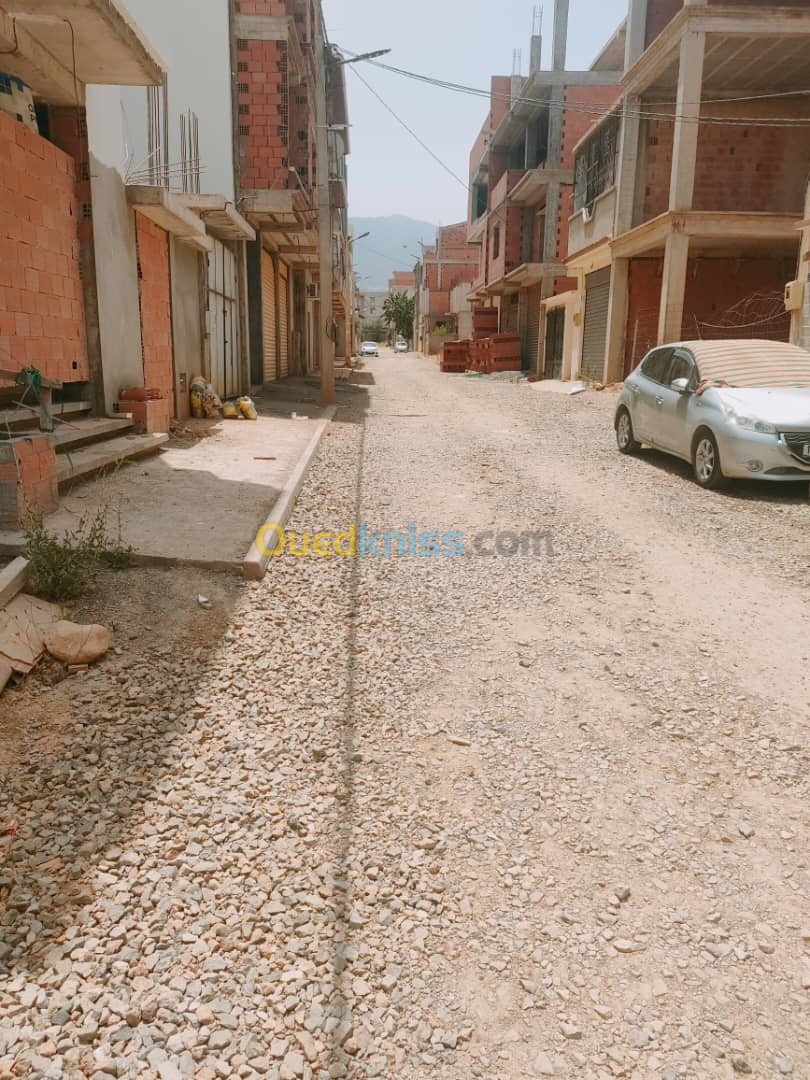 Vente Terrain Blida Chiffa