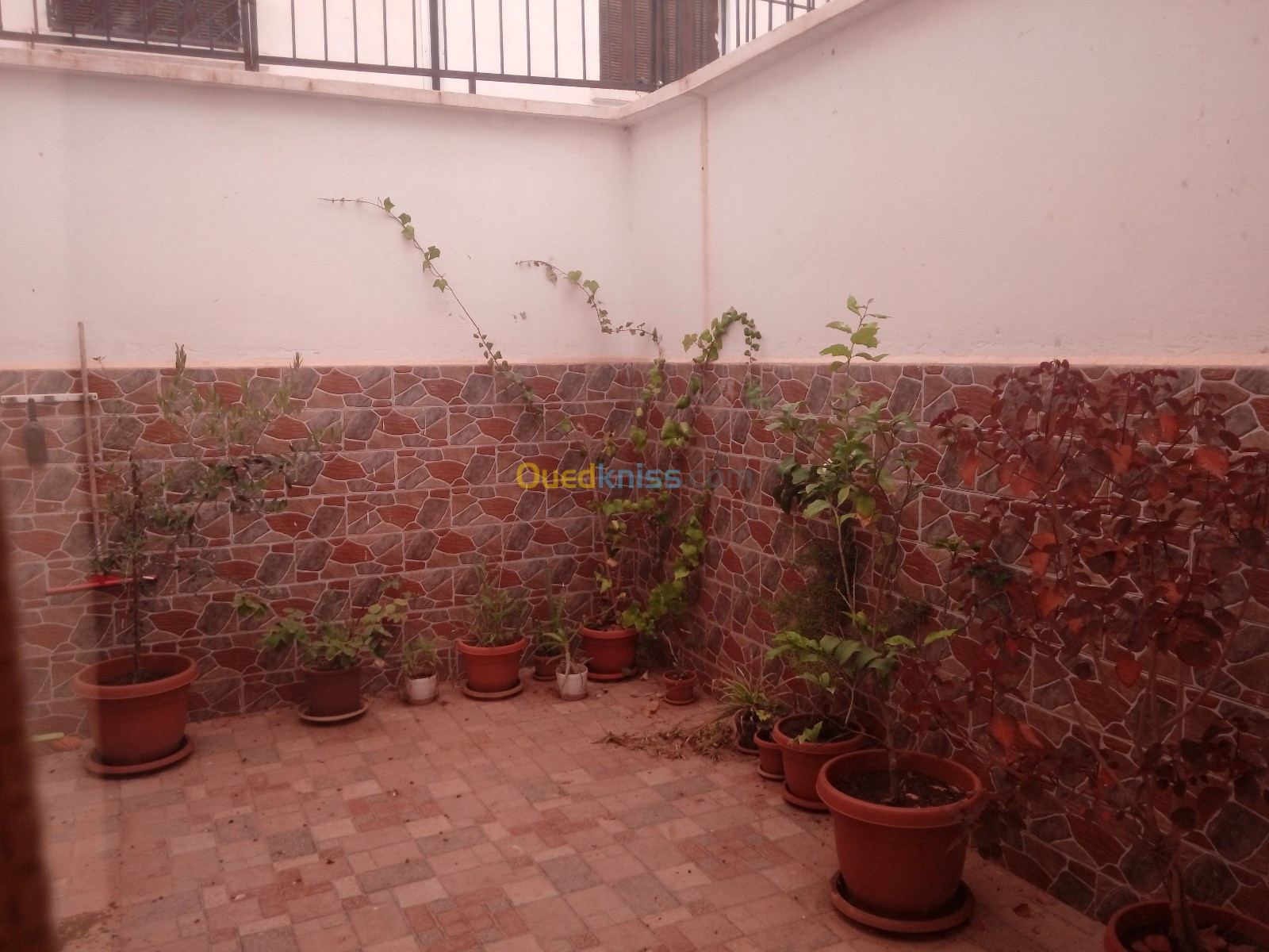 Vente Duplex F5 Oran El Kerma