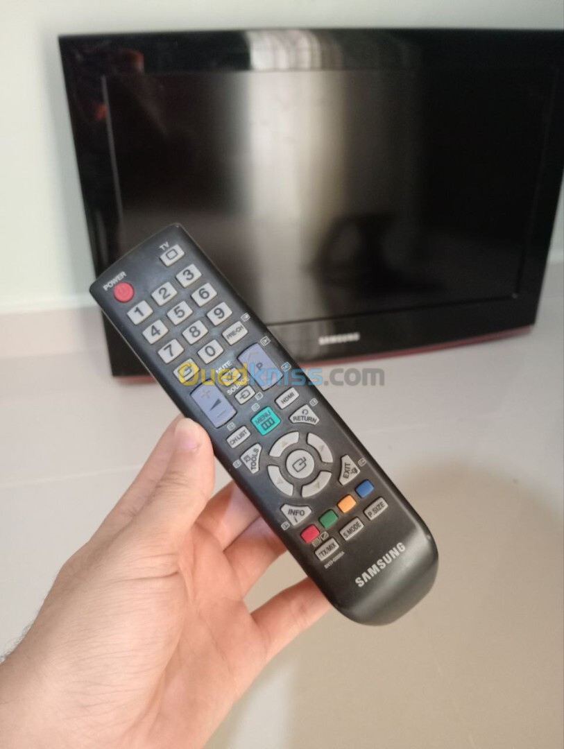 Télévision Samsung 25 pouce + support