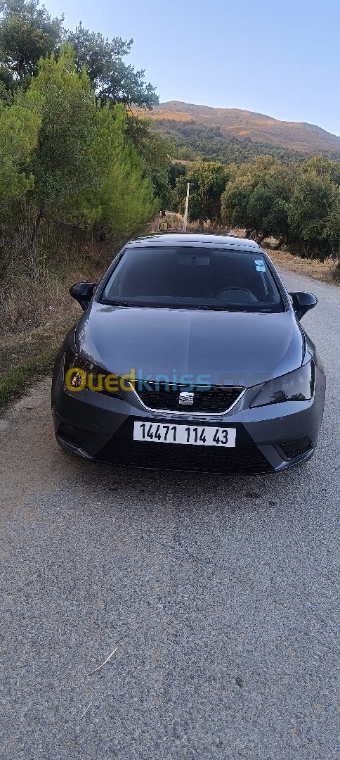 Seat Ibiza 2014 Ibiza