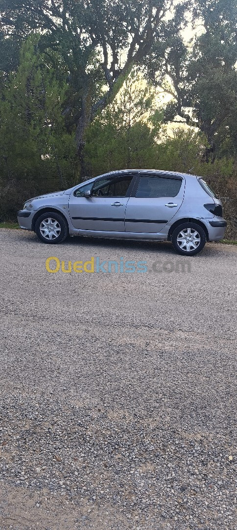 Peugeot 307 2002 