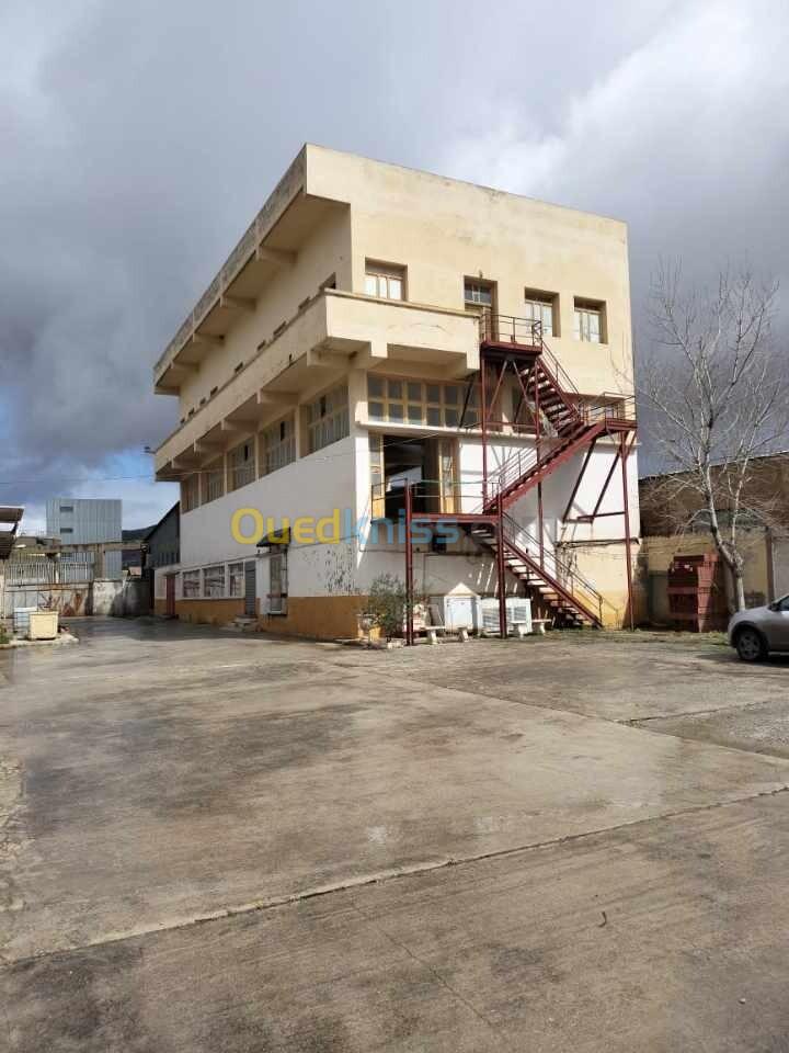 Vente Usine Constantine El khroub