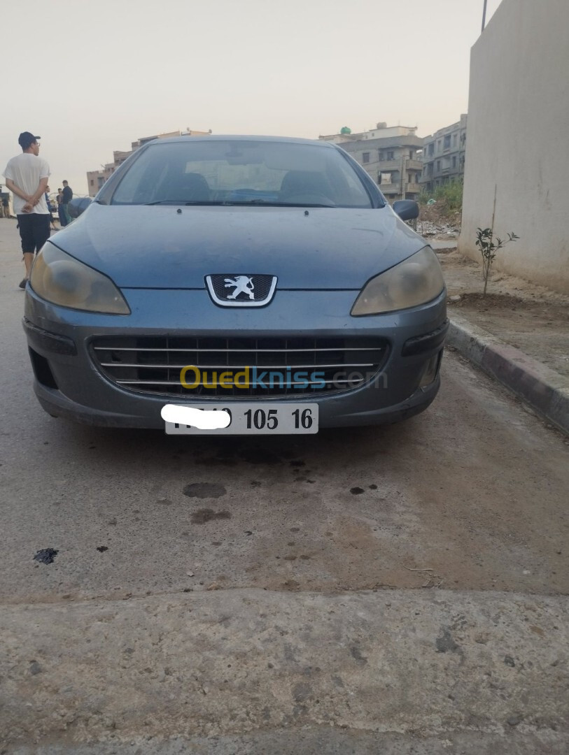 Peugeot 407 2005 