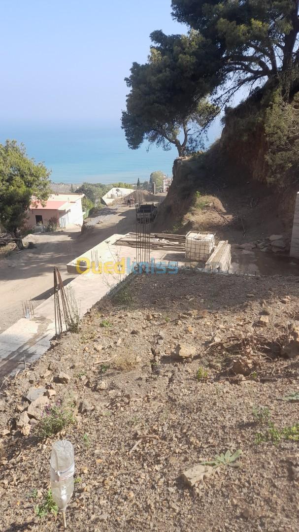 Vente Terrain Tipaza Larhat