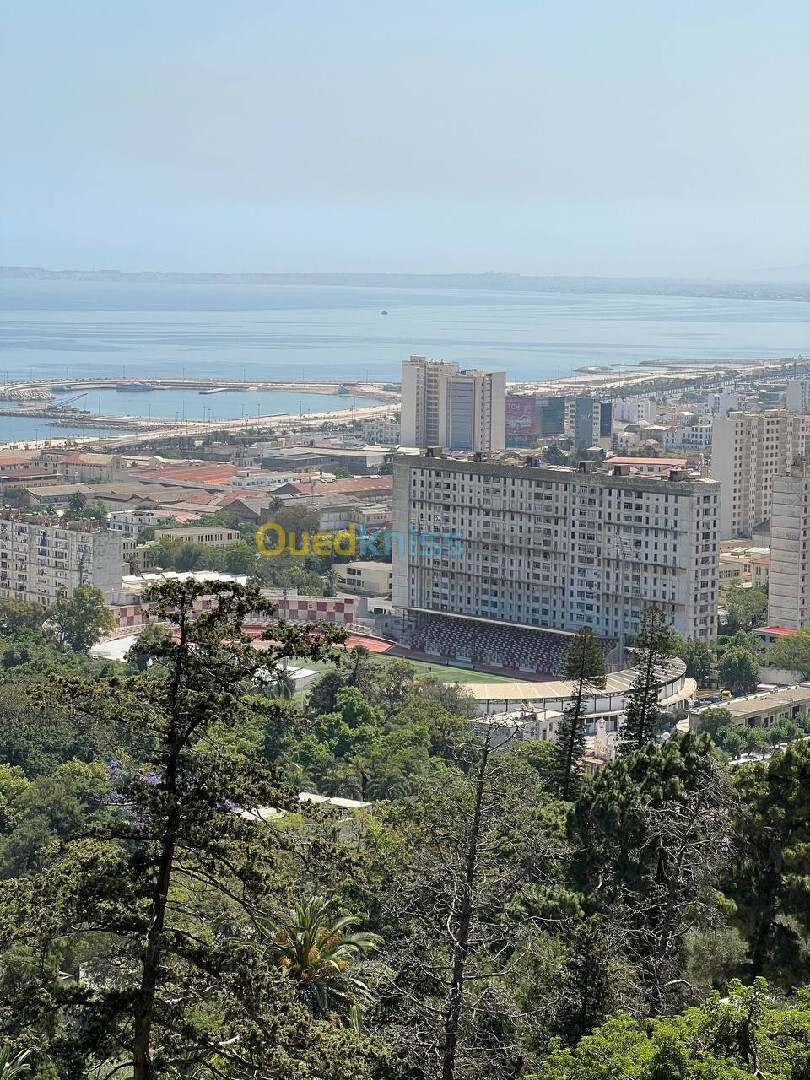 Vente Appartement F3 Alger Alger centre