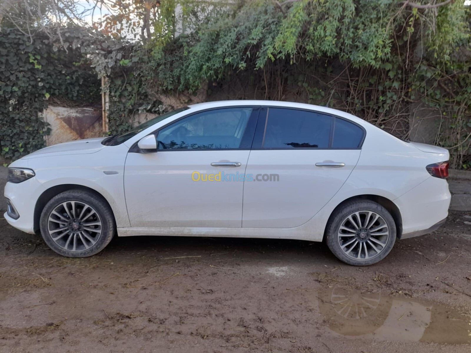 Fiat Tipo 2023 Life