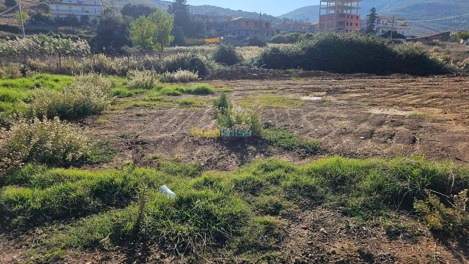 Vente Terrain Bejaia Tala hamzadaira