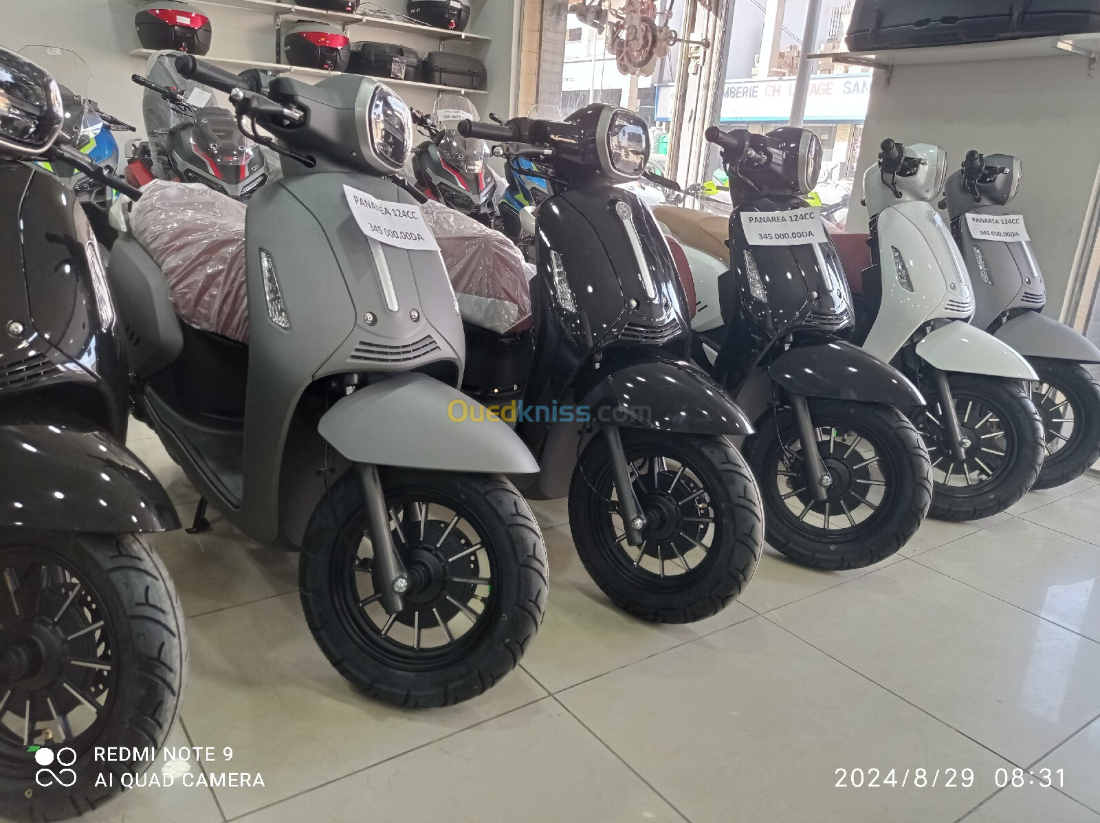 VMS-BENELLI PANAREA 2024