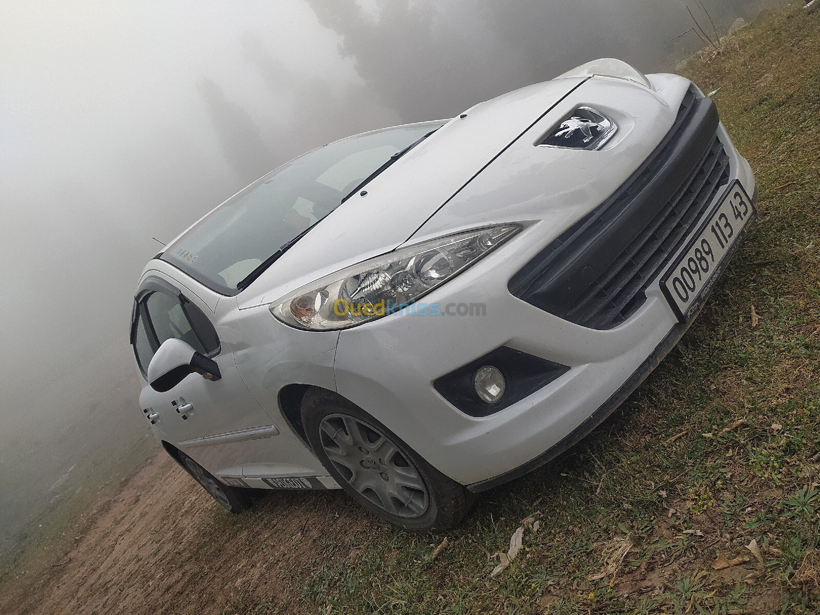 Peugeot 207 plus 2013 207 plus