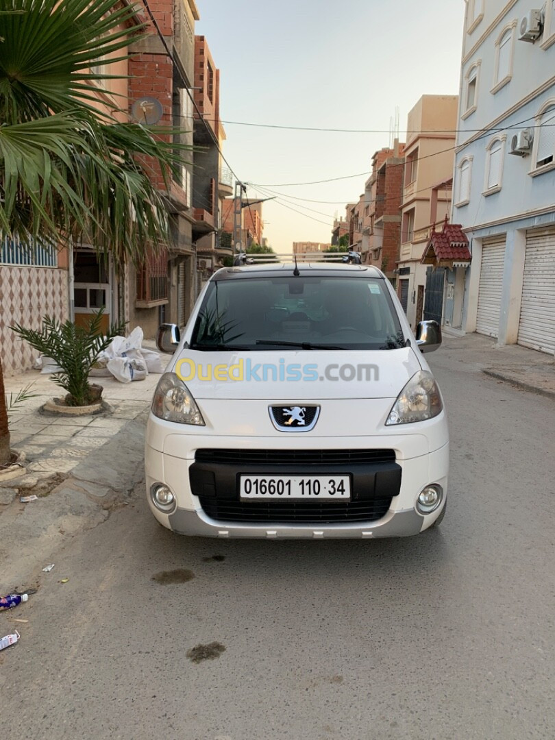 Peugeot Partner 2010 Tepee