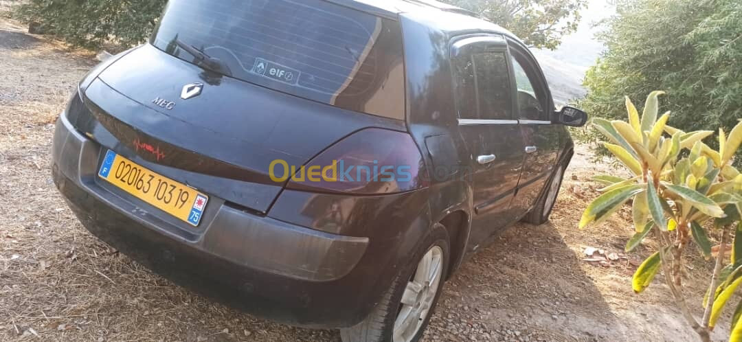 Renault Megane 2003 Biry