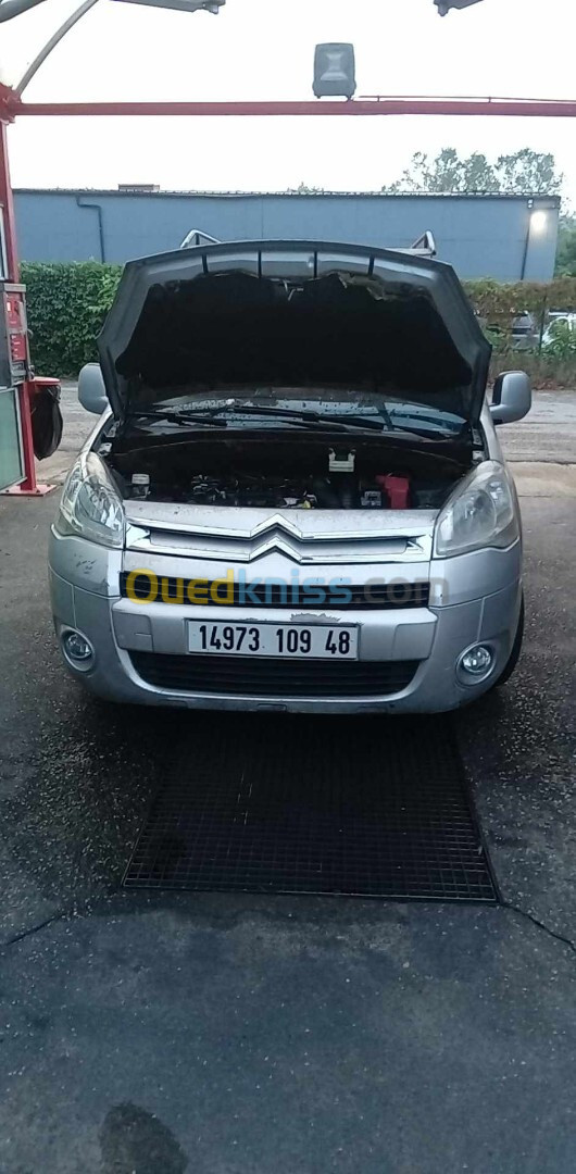 Citroen Berlingo 2009 Berlingo