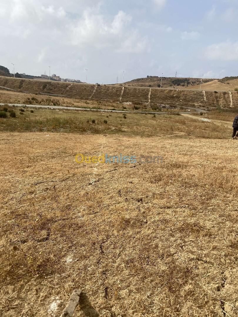 Vente Terrain Boumerdès Tidjelabine