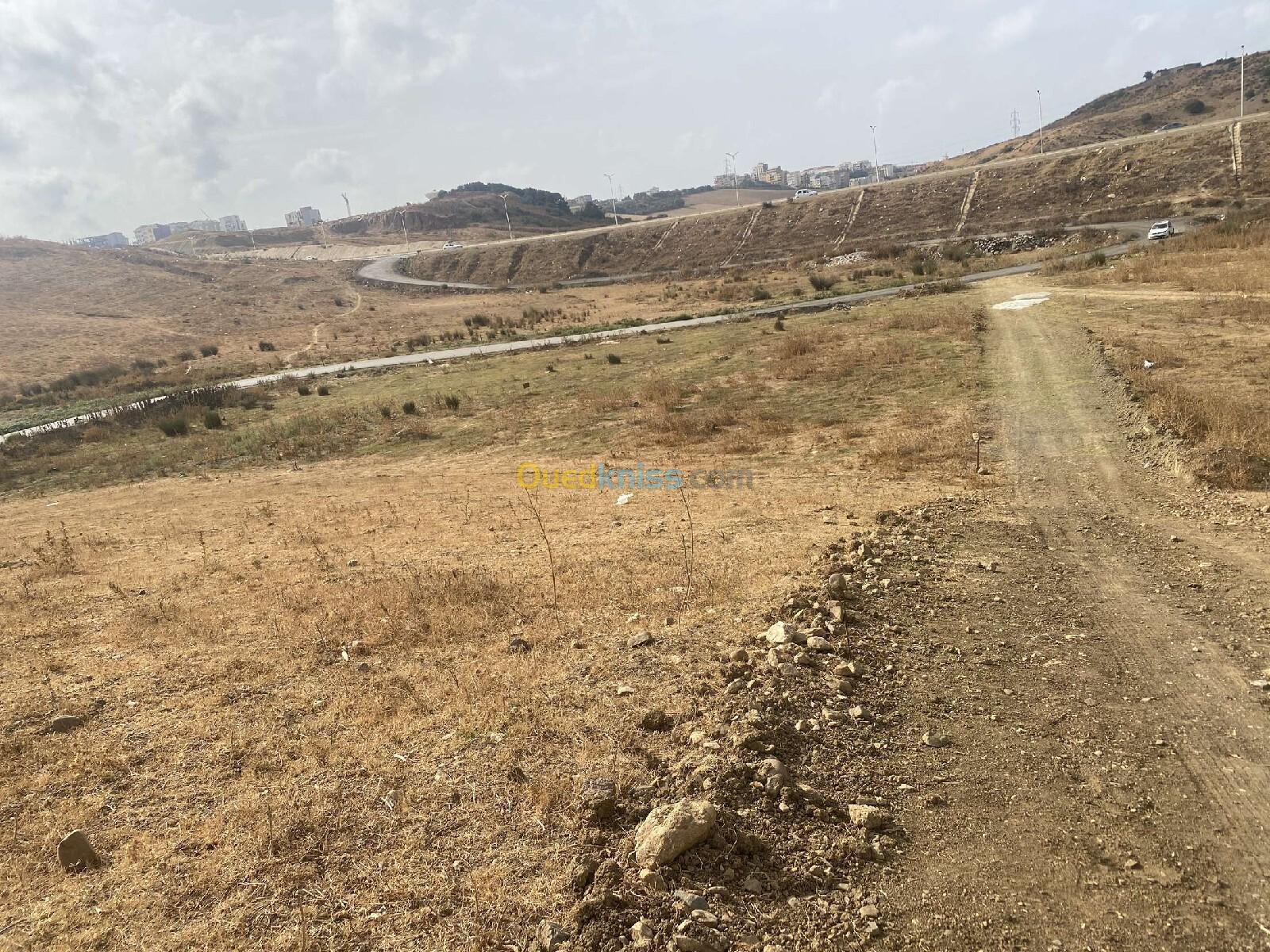 Vente Terrain Boumerdès Tidjelabine