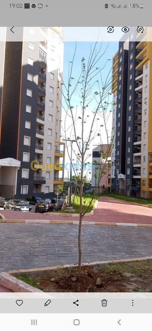 Location Appartement F5 Alger Ouled fayet